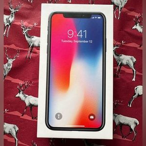 BOX from iPhone X, Space Gray, 256GB